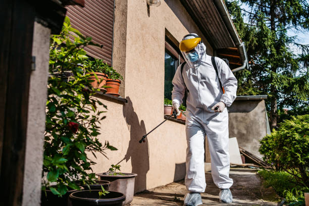 Professional Pest Control in Liverpool, NY