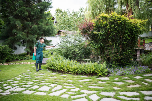 Best Wasp Removal Services  in Liverpool, NY