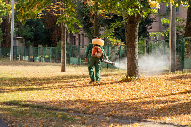 Best Commercial Pest Control Services  in Liverpool, NY