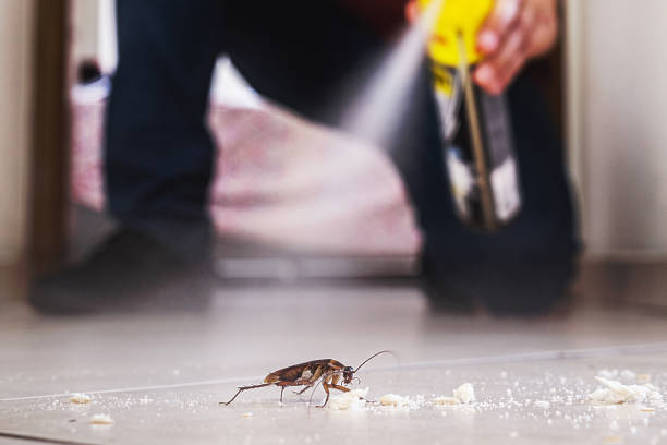 Best Best Pest Control Companies  in Liverpool, NY