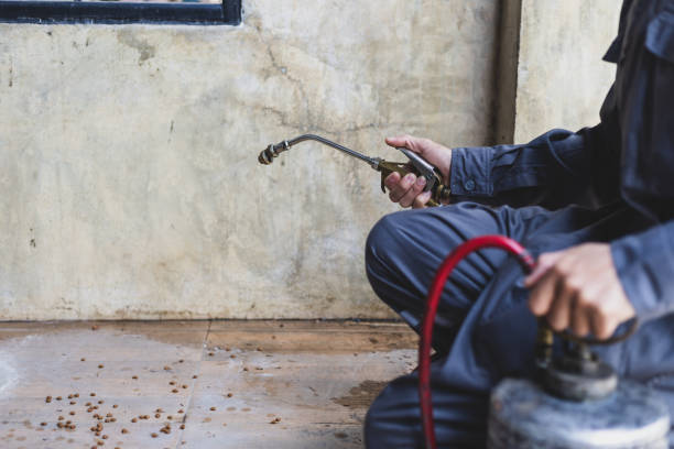 Best Pest Control for Businesses  in Liverpool, NY