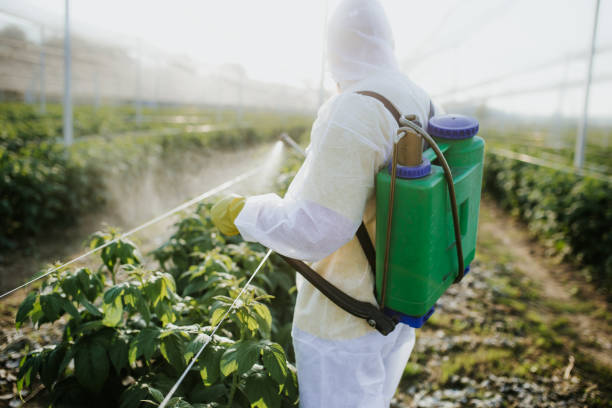 Best Bed Bug Extermination  in Liverpool, NY